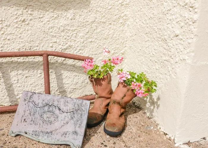 Shandrum Brook Killare